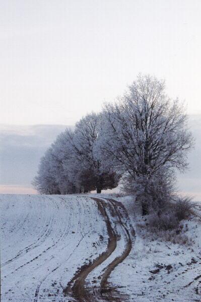 Winterlandschaft Märkische Schweiz