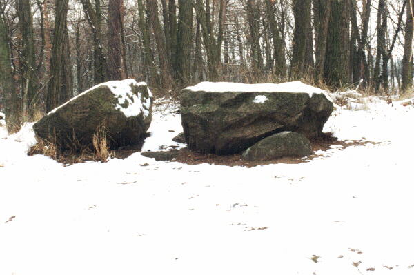 der Teufelstein am Rande der Tornowseen