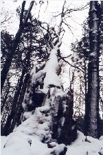 Sturmschäden
