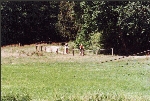 Radfahrer im Stobbertal