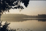 Schermützelsee im Nebel