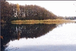 spiegelnder Schermützelsee im Herbst