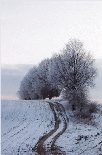 Winterlandschaft