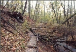Poetensteig