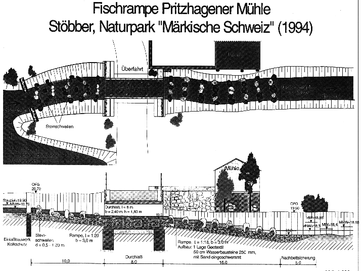 Fischpass Pritzhagener Mühle