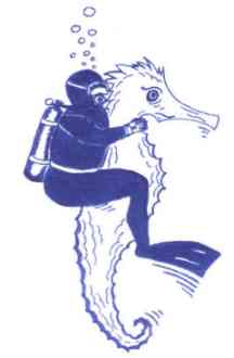Tauchclub Buckow